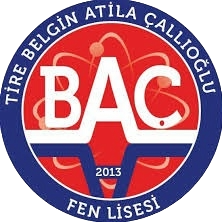 Okul Logosu